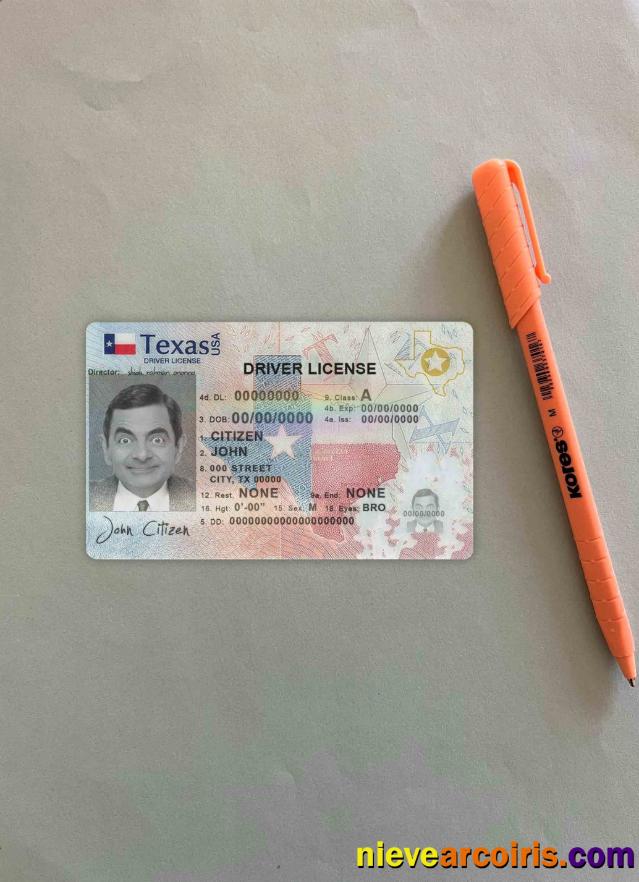 USA Texas driving license, fully editable (2020 – present) photolook